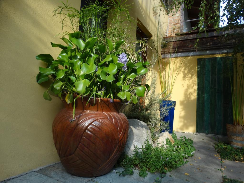 Agriturismo Casa De Colores Moretta Dış mekan fotoğraf
